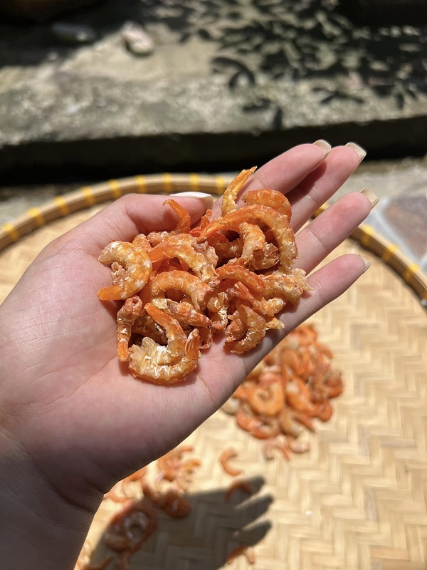 Tôm khô