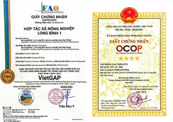 VietGAP