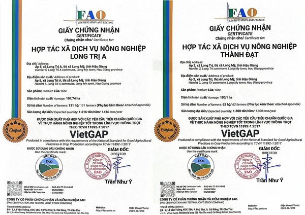 VietGAP