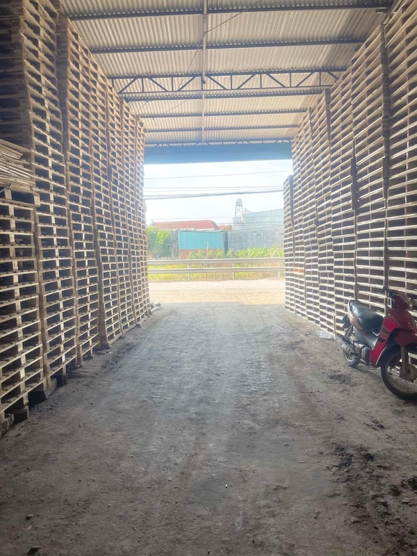 Pallet gỗ