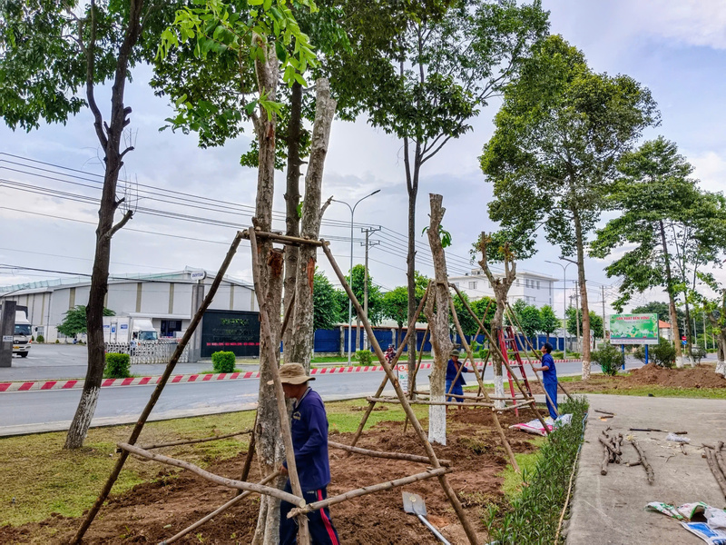 Trồng cây KCN Việt Hương