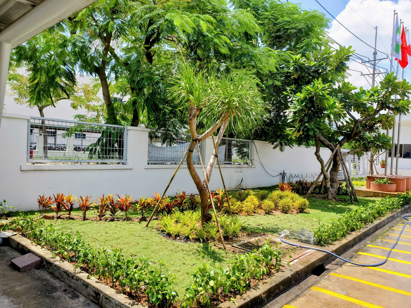 Trồng cỏ Vsip 1 Bình Dương