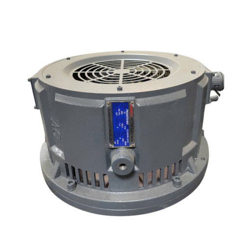 Motor từ trường