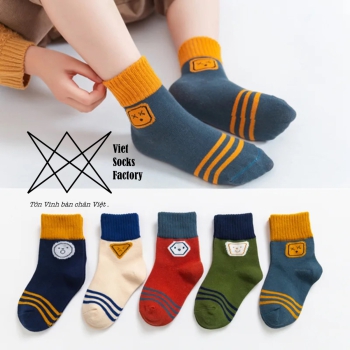 Set 5 đôi vớ cổ thấp nữ họa tiết