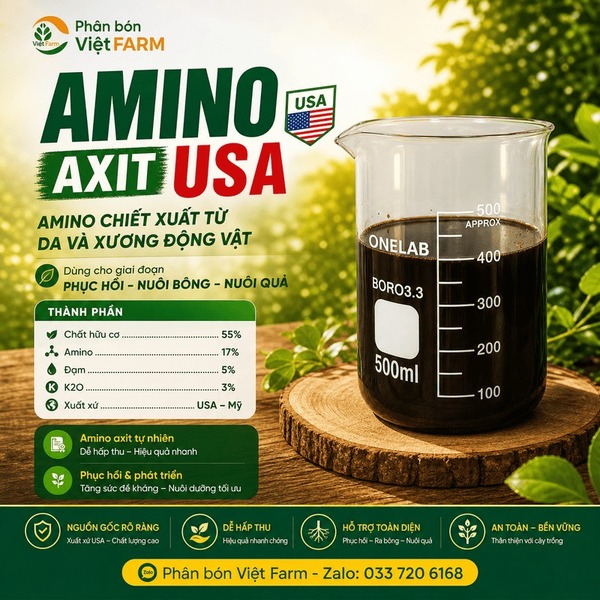 Amino Axit USA