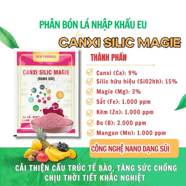Canxi Silic Magie (dạng sủi)