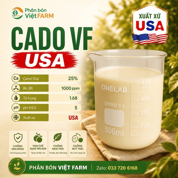 Cado VF USA
