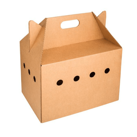 Thùng Carton bế