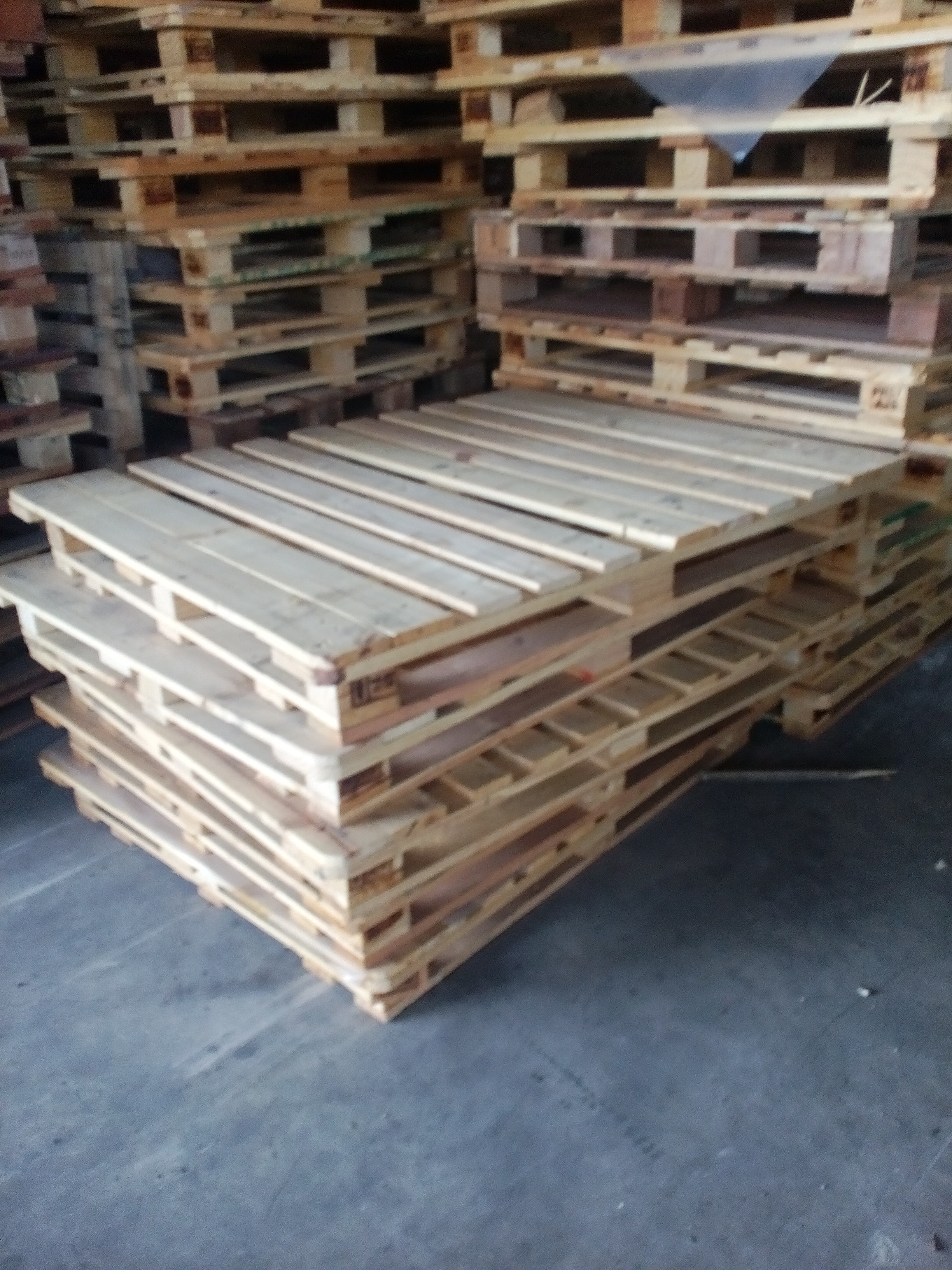 Pallet gỗ thông