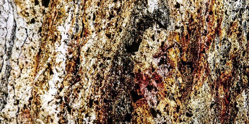 Đá Art Stone Light Wall Burning Forest