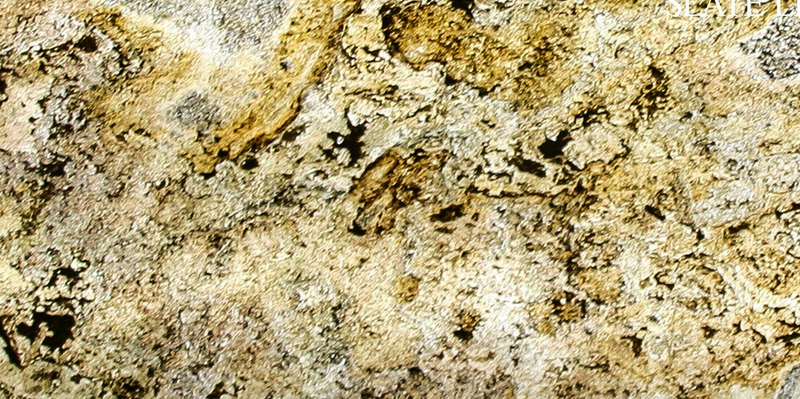 Đá Art Stone Light Wall Forest