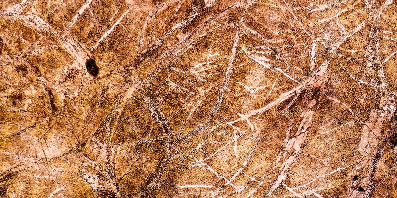 Đá Art Stone Light Wall Rainforest Brown