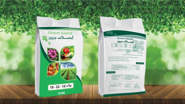Dự án tiêu biểu