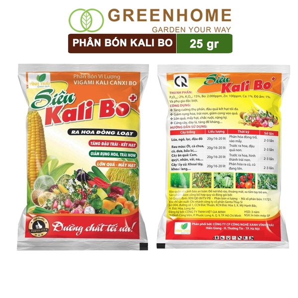 Dự án tiêu biểu