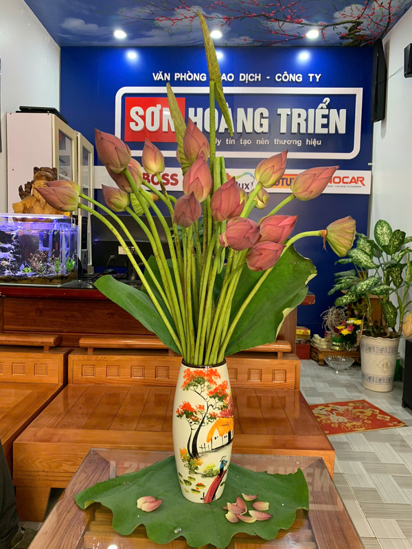 Hình ảnh công ty Hoàng Triển