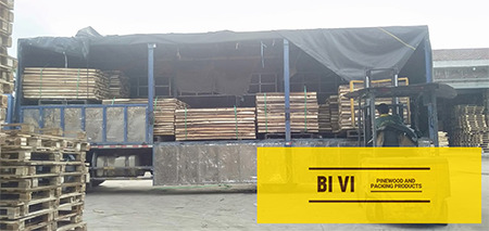 Hình ảnh xuất hàng Bi Vi