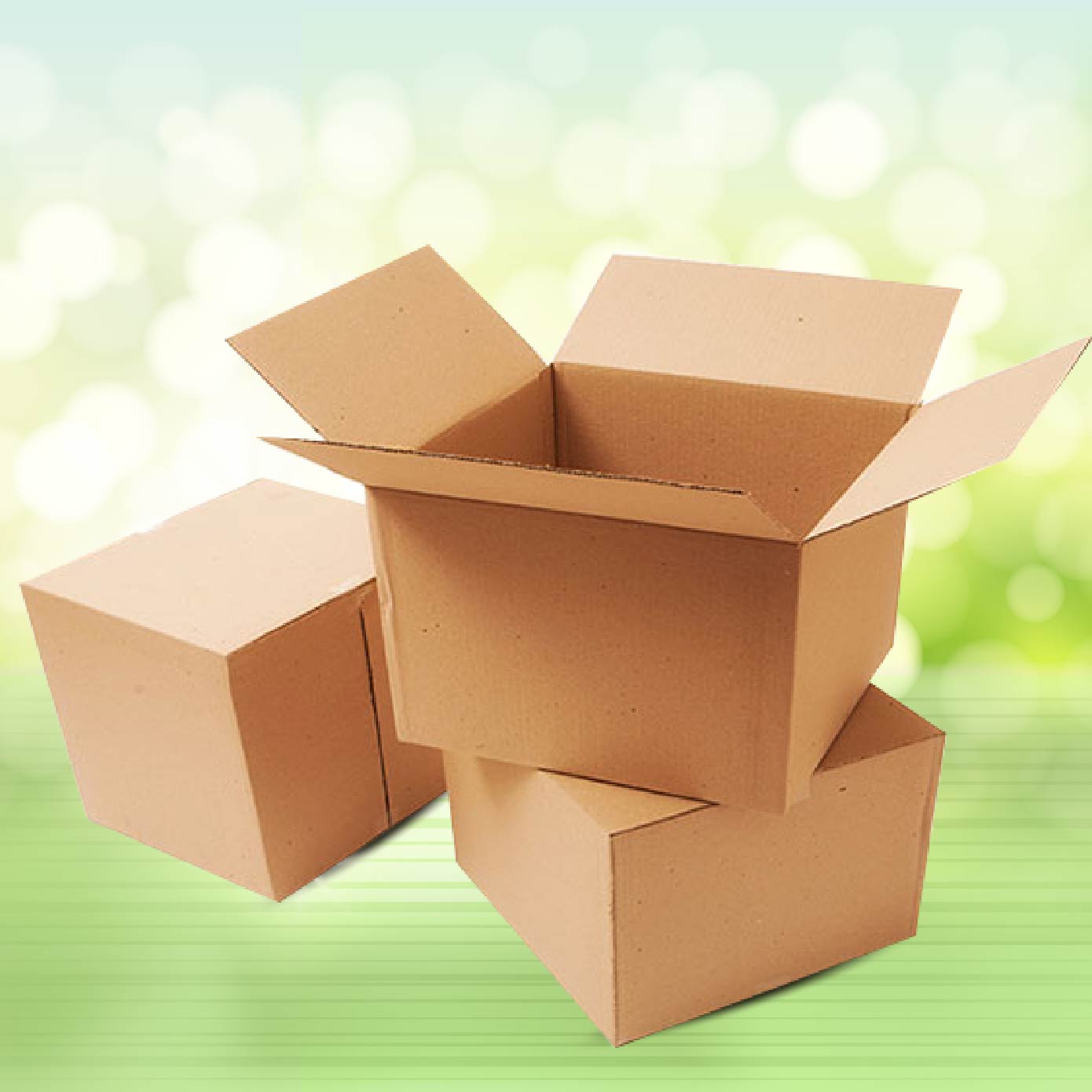 Bao bì carton