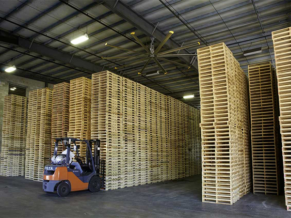 Pallet bao bì gỗ
