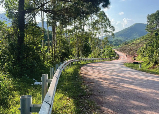 Dự án tiêu biểu