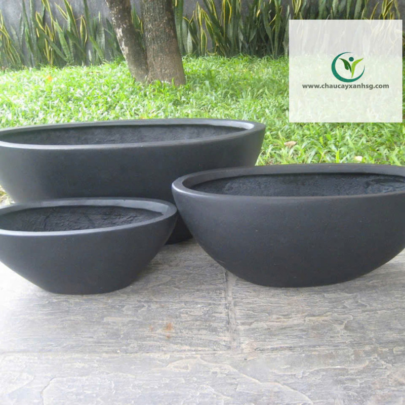 Chậu Composite trồng sen