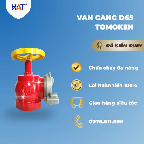 Van gang Tomoken D65