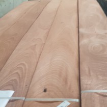 Veneer dái ngựa