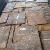 Veneer Nu Ash