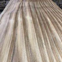 Veneer tràm Việt Nam