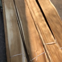 Veneer tràm