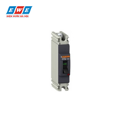 Aptomat MCCB 1P 100A 18kA EZC100N1100