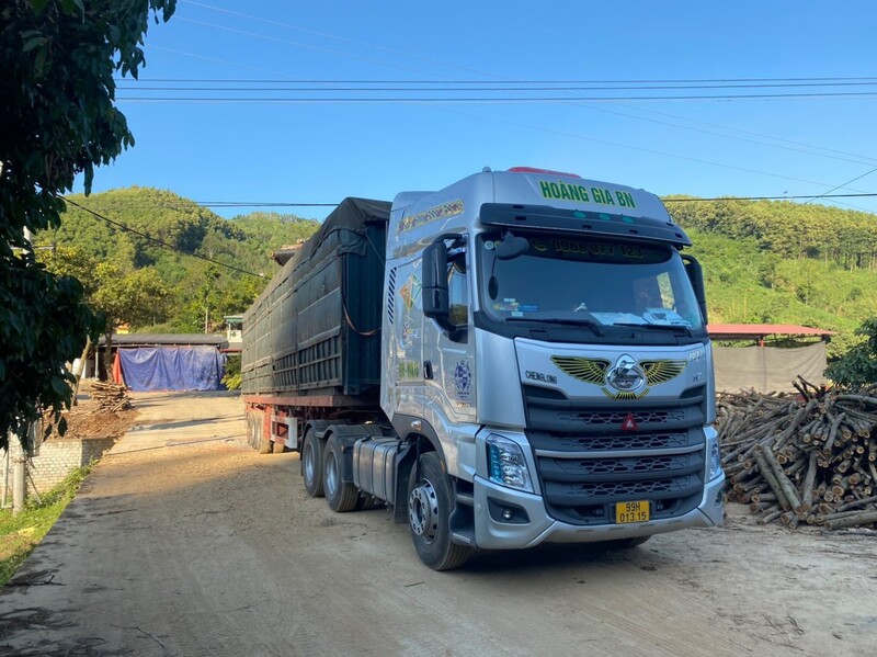Vận tải bằng xe Container