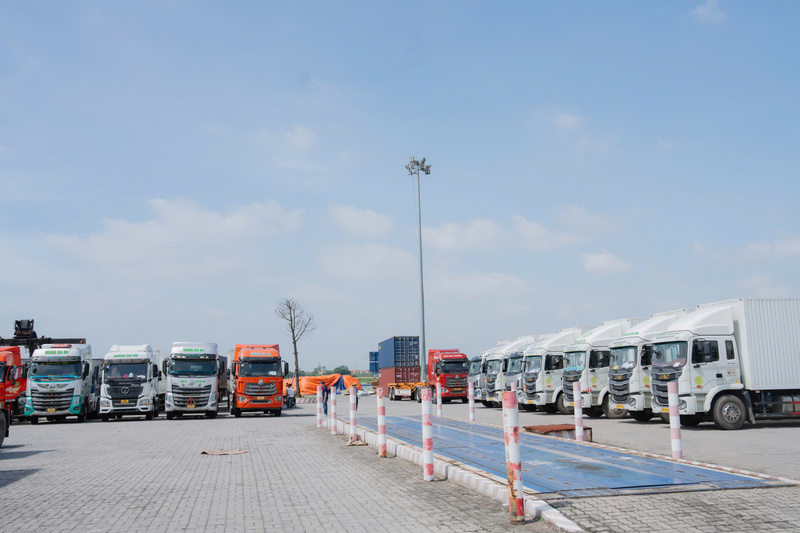 Vận tải bằng xe Container