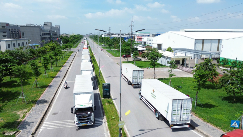 Vận tải bằng xe Container