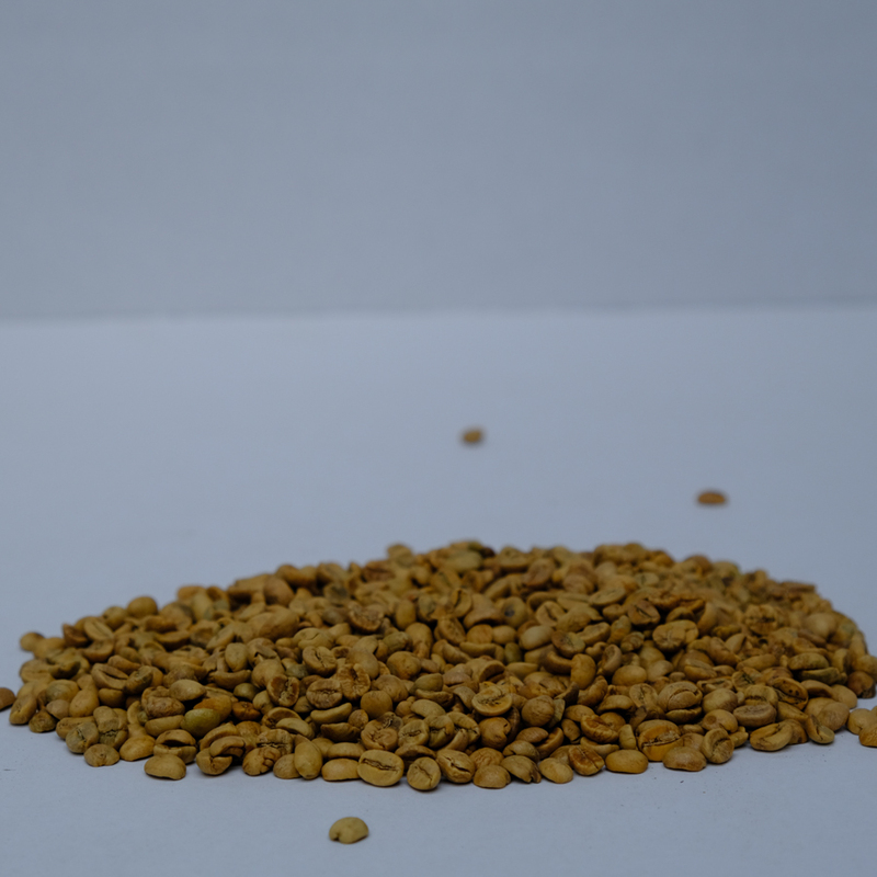 Hạt cà phê Arabica nhân xanh Cầu Đất 1kg