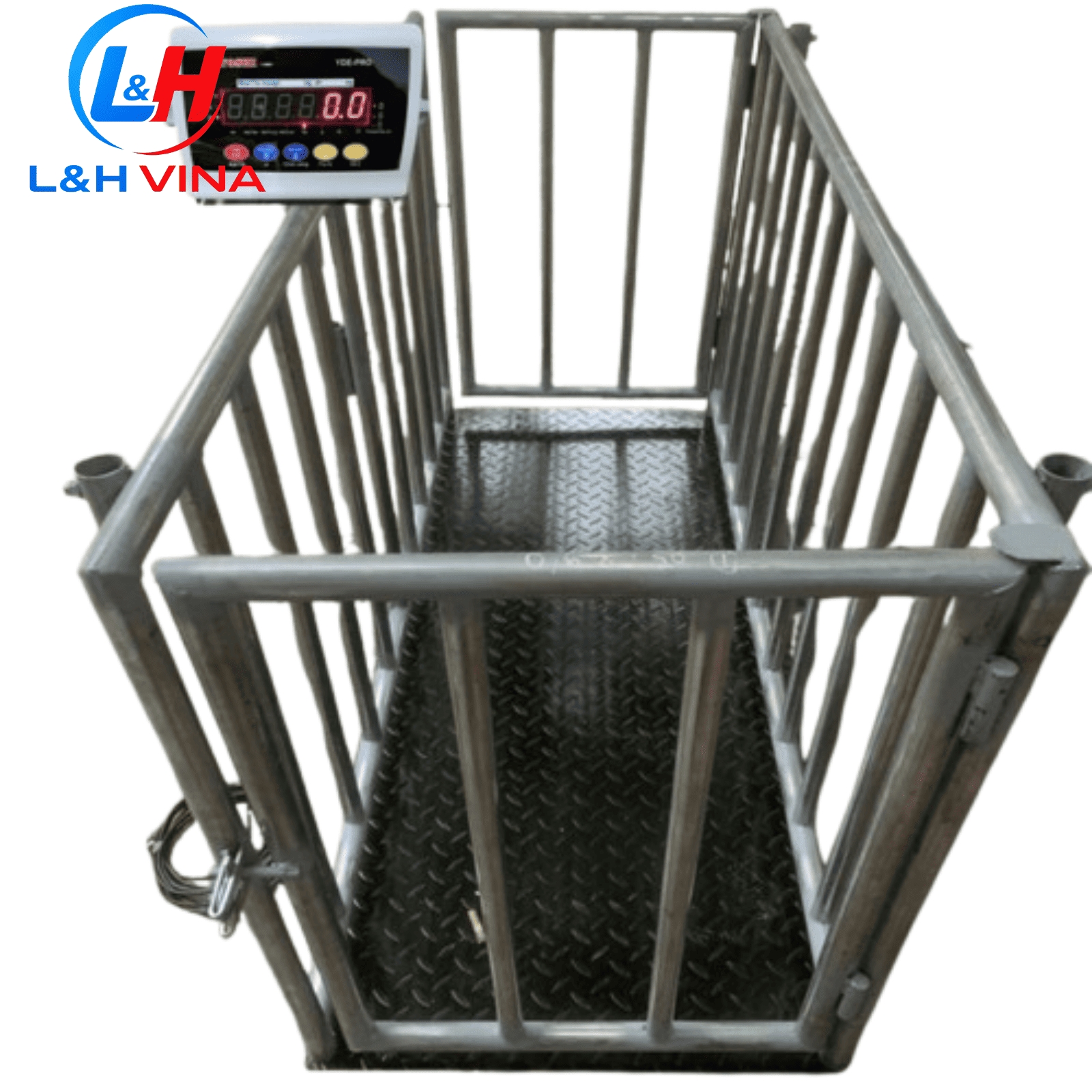 Cân điện tử cân heo 1 con