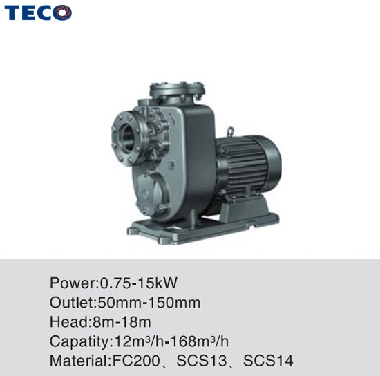 Bơm Teco GMP - KMP Self Priming