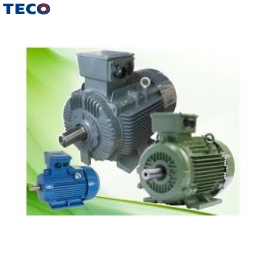 Motor Teco IE1, IE2, IE3