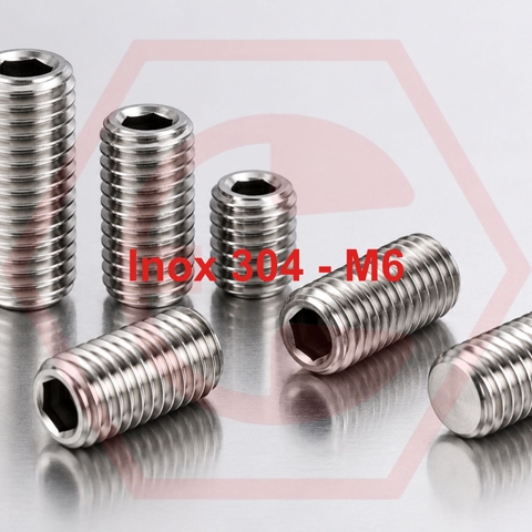 Lục giác âm 304 M6
