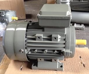 Motor TaTung