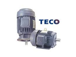 Motor Teco