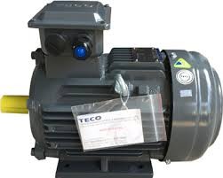 Motor Teco