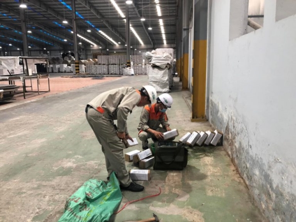 Dịch vụ kiểm soát mối và diệt mối