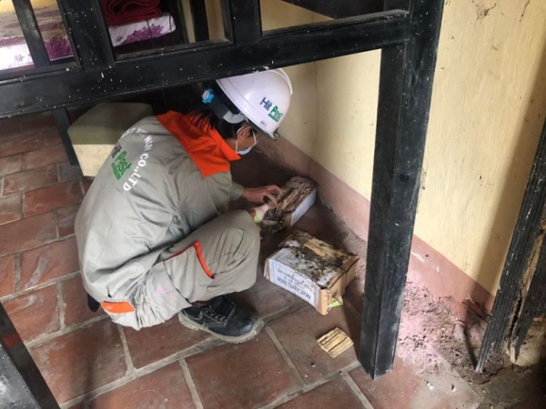 Dịch vụ kiểm soát mối và diệt mối