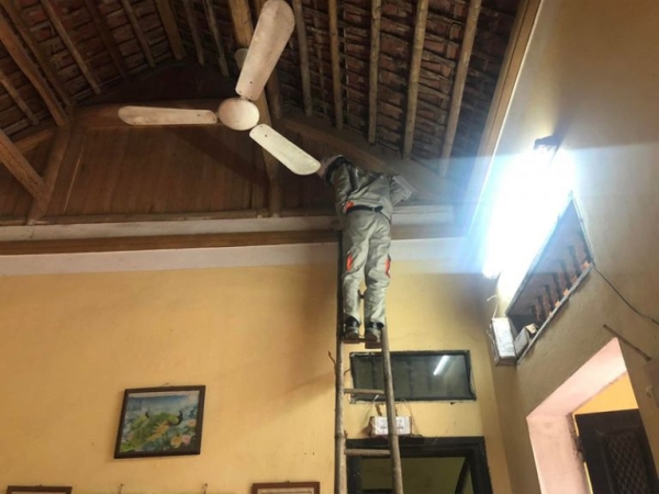 Dịch vụ kiểm soát mối và diệt mối