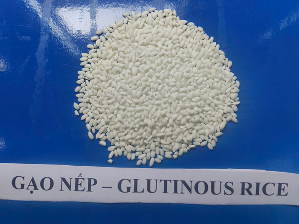 Gạo nếp