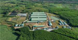 Trang trại chăn nuôi CTCPNN BAF Việt Nam