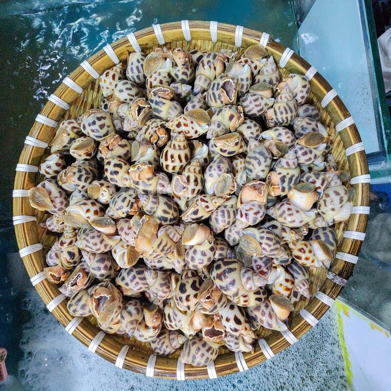 ốc hương