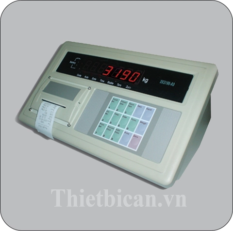 Bộ chỉ thị XK3190 A9P Yaohua