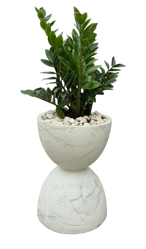 Chậu cây decor
