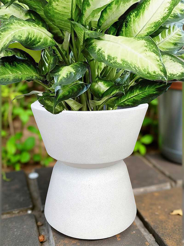 Chậu cây decor